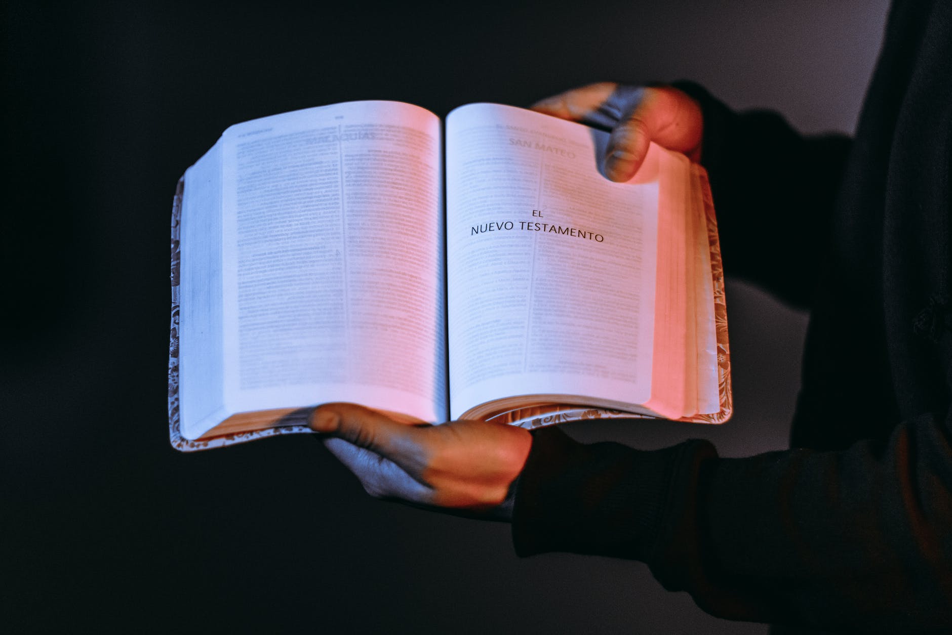 person holding a bible